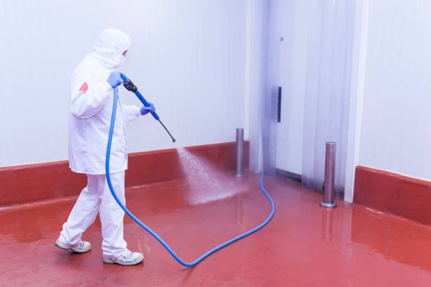 Best Paint Preparation  in Dade City North, FL